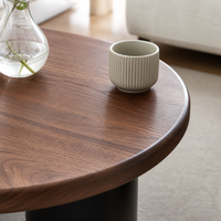 Table basse moderne en noyer bio avec plateau noir pour salon