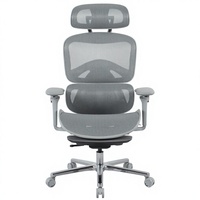 Chaise de bureau ergonomique Henglin en maille avec appui-tête 2D, accoudoirs 5D, vérin à gaz à 4 niveaux et roulettes silencieuses