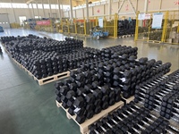 Mancuernas Hexagonales de 5-60 kg para Gimnasio, Levantamiento de Pesas, con Logotipo Personalizado, Suministro de Fábrica SPORTVUE