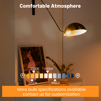 Ampoule LED à filament multi-CCT personnalisable G16.5 G50, verre ambré, 2W 4W 5.5W, globe en verre E12 pour éclairage suspendu décoratif