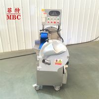 Automatische friet snijmachine voor aardappelchipsverwerkingsbedrijven, commerciële groentesnijder.