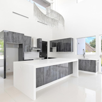 Diffuseur à fente linéaire décoratif blanc de 48 "avec double fente pour plafond, murs et sols
