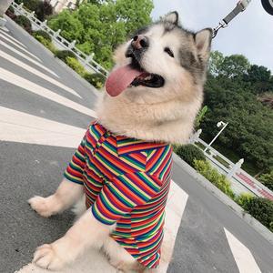 S ~ 6XL <span class=keywords><strong>T</strong></span>-<span class=keywords><strong>shirt</strong></span> à manches en gros vêtements <span class=keywords><strong>golden</strong></span> <span class=keywords><strong>retriever</strong></span> vêtements d'é<span class=keywords><strong>t</strong></span>é grand grand chien - Product Image 3