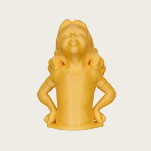 Polymaker 1kg/bobina PolyTerra PLA+ Impresión 3D 1.75mm Panchroma Satin Suministro al por Mayor ABS Nylon PETG TPU PEK - Product Image 6