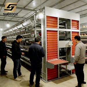 Gabbia Automatica per Allevamento Polli da Deposizione, Gabbie a Batteria Tipo H Zincate per Allevamento Avicolo, Gabbia per Allevamento Polli da Uova - Product Image 4
