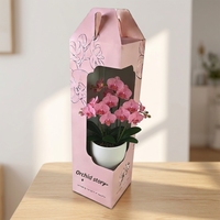 Boîte cadeau autoportante en papier kraft découpé pour bougie et portefeuille, motif orchidée en pot, portable