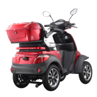 VISTA QUATER-1 EEC COC 1000W BATTERIE AU PLOMB POUR SCOOTER ÉLECTRIQUE 4 ROUES