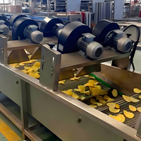 Friteuse industrielle entièrement automatique de haute qualité pour légumes, pommes de terre, fruits, chips, machine alimentaire en acier inoxydable 304 de qualité alimentaire 500-1000