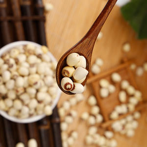 <span class=keywords><strong>เมล็ด</strong></span>บัวแห้งพร้อมแกนสีแดงขาว500กรัมเอาแกนเปิดครึ่งขอบบัว - Product Image 2