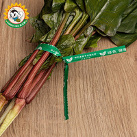 Fournisseur d'usine de Gardenbee Logo imprimé biodégradable personnalisé réglable étiquette de plante emballage de légumes fruits Tagstwist attaches torsadées