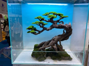 ベトナム装飾流木盆栽水族館流木品質製品水族館生きている植物 - Product Image 3