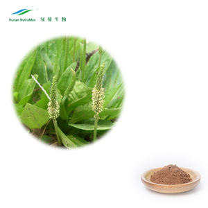Doğal Plantago Asiatica / Asiatic muz/muz bitki özü bitki özü - Product Image 1