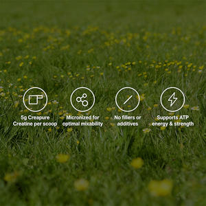 Poudre de <span class=keywords><strong>créatine</strong></span> monohydrate Momentous - Creapure - Convient aux hommes et aux femmes, pour la croissance musculaire et la récupération après l'entraînement - Product Image 5