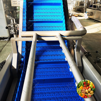 Fabrieksprijs Industriële Datum Appel Wortel Fruit En Groente Reinigingsmachine Zoete Aardappel Wasmachine Te Koop