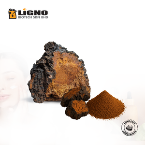 ผู้ผลิตมาเลเซีย Chaga LiGNO CG06 ได้รับการรับรองฮาลาลและโคเชอร์ สำหรับผลิตภัณฑ์ดูแลผิวหน้า ระดับ OEM ODM คอสเมซิทิคอลแอคทีฟ - Product Image 1