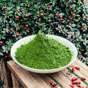 Té Verde Matcha en Polvo Premium, Grado A a 7A, Orgánico, Instantáneo, en Paquete a Granel de 1 kg - Product Image 1