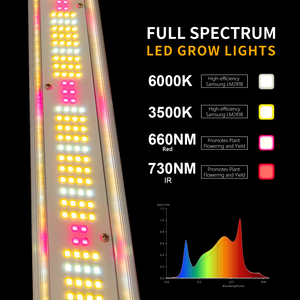 Maksdep dẫn phát triển Dải Daisy chuỗi điều khiển Tấm <span class=keywords><strong>Dimmable</strong></span> dọc nông nghiệp thương mại Samsung <span class=keywords><strong>chip</strong></span> 720W phát triển ánh sáng thực vật - Product Image 2