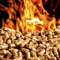 Pabrik Kualitas Bagus Bahan Bakar Padat Alami Pelet Kayu 15Kg Tas untuk Dijual Ditekan