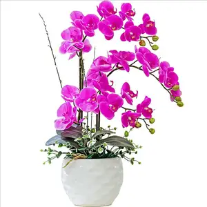 Yapay Kelebek Orkide Bitki Sahte Toplu Ipek Orkide Aranjmanı Phalaenopsis Bitki Ev Partisi Dekoru için