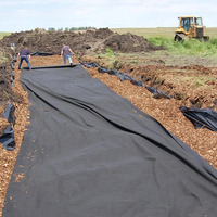 Tissu géotextile non tissé résistant aux UV pour la protection des revêtements de réservoirs, le drainage des décharges et le contrôle de l'érosion côtière