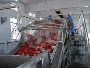 สายการผลิตแยมแอปเปิ้ลอัตโนมัติประสิทธิภาพสูงสำหรับกระบวนการทำเนื้อผลไม้และแยม - Product Image 2