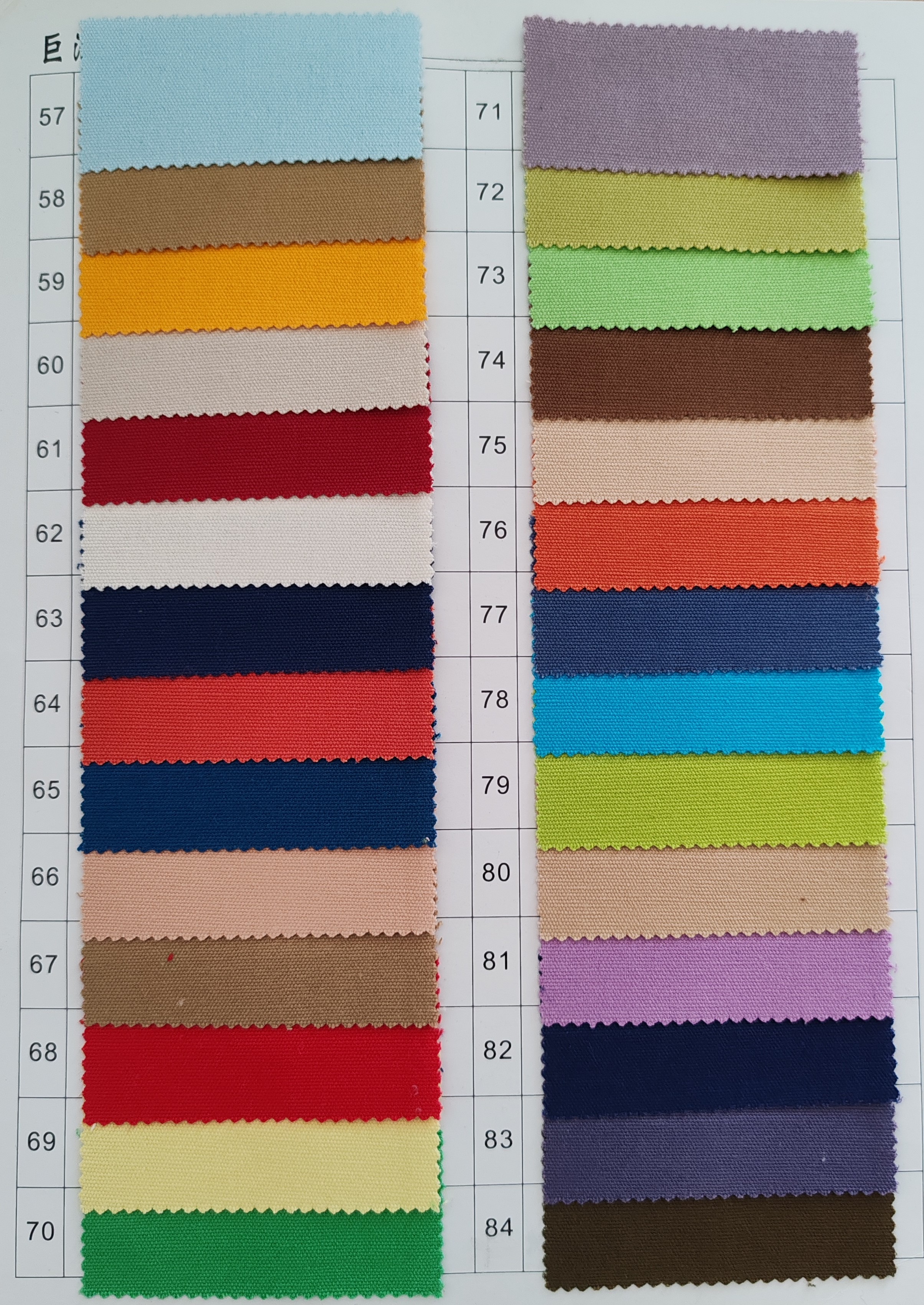 Color Choice 3