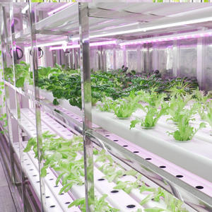 Sistema de Torre Vertical de Cultivo Hidropónico/Aeropónico para Vegetales Frescos Verdes en Contenedor de Granja de Fertirrigación - Product Image 5