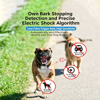 Collier anti-aboiement rechargeable pour chien, accessoire pour animaux de compagnie en nylon, fonction anti-aboiement