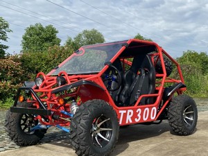 Arctic <span class=keywords><strong>Sky</strong></span> 300cc, véhicule tout-terrain électrique refroidi par eau, quatre roues, plage, UTV, kart pour adultes avec arbre de transmission et volant - Product Image 2