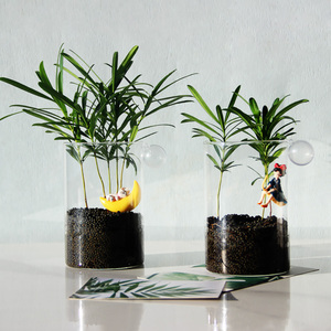 Commercio all'ingrosso di alta borosilicato cilindro dritto <span class=keywords><strong>vasi</strong></span> di vetro <span class=keywords><strong>per</strong></span> la decorazione da tavolo funzionale vaso da tavolo al prezzo di fabbrica - Product Image 3