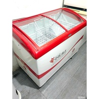Freezer Display Dingin Terbaik 1000 Liter, Freezer Besar untuk Peralatan Dapur, Kulkas Freezer Komersial