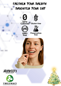 水果系列风味牙签 戒烟牙签 带香味牙签 - Product Image 3