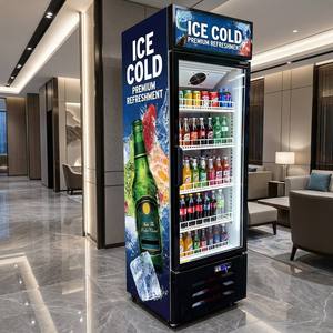 Réfrigérateur Vitrine Verticale 300L, Meilleure Vente, Électrique, Économique, pour Crèmes Glacées et Boissons, Congélateur de Présentation - Product Image 1