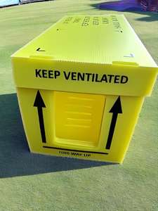 Grosir 5 bingkai kotak Nuc ratu lebah Mini kawin inti sarang lebah kotak lebah bergelombang - Product Image 3