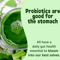 Poudre Probiotique aux Fruits Saveur Pomme, Complément Alimentaire pour la Santé Intestinale et la Vitalité Naturelle, à Base de Spiruline en Sachet