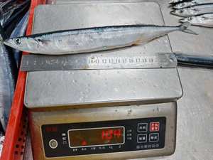 Pesce fresco di grandi dimensioni all'ingrosso pesce intero congelato Sanma pesce sgombro congelato - Product Image 3