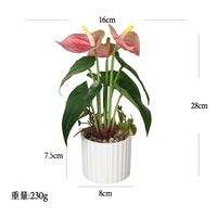 2025 Grosir Bunga Tulip Bonsai Buatan 28cm dalam Pot Bahan PE untuk Dekorasi Kantor
