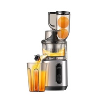 Multifunctionele Draagbare Elektrische Mixer Molen Tarwegras Masticating Sapcentrifuge Wortel Oranje Slow Juicer Koude Pers