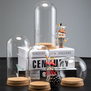 Cúpula de tarro de campana de cristal de exhibición transparente de primera calidad con base de madera para decoración del hogar Día de San Valentín Graduación de Navidad Día de la madre - Product Image 2