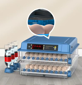 Incubadora de Huevos a Precio de Fábrica, Máquina para Incubar 256 Huevos de Gallina, Doble Potencia para Pollo, Pato, Paloma y Codorniz - Product Image 4
