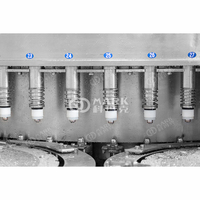 Machine de remplissage et de scellage automatique, pour l'eau minérale en plastique, ligne de Production d'eau minérale, excellent pour les animaux domestiques