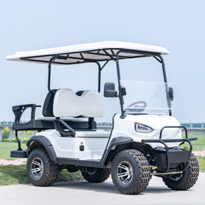 Carritos de Golf Profesionales Chinos de 2 Pasajeros y 4 Ruedas, Precios Económicos, Carrito Tipo Buggy en Venta, Carrito Pequeño para Golf - Product Image 5