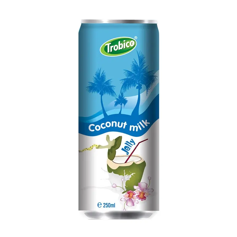 Meilleur fournisseur pour 330ml Alu Can Jelly Coconut Milk Drink