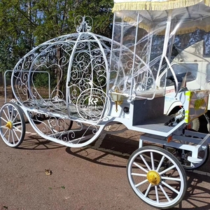 Carrozas Fúnebres de Estilo Europeo en Oferta, Carrozas Fúnebres Clásicas con Caballos, Carros de Caballos - Product Image 4