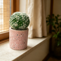 Pot de plante en béton écologique style ferme Terrazzo rose, mini jardinière pour cactus et succulentes, petit récipient d'intérieur pour bureau