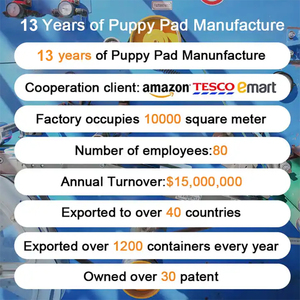 Фабрика по уходу за домашними животными искусственная трава щенок мочит коврик для собак и маленьких - Product Image 5