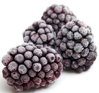 IIQF Diepvries Zwarte Bessen, Gehele Diepvries Zwarte Bessen voor Sap, Jam, Bakkerijproducten, Yoghurt, Desserts en Voedingsmiddelenfabrieken, Bulk Export