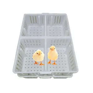 little chicken crates plastic transport boxes chicks goose quail duck transport crates for live poultry