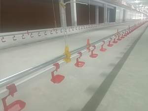 Nuevo Modelo PH-C01 PH Comedero para Aves de Corral, Línea de Alimentación con Tornillo Sin Fin, Equipo de Alimentación Automática - Product Image 6