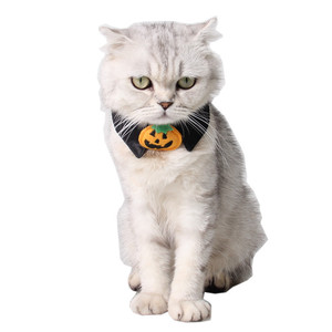 Decoraciones para mascotas pequeñas de Halloween <span class=keywords><strong>Collar</strong></span> de pajarita de calabaza negra para gatos y perros Patrón sólido hecho de poliéster - Product Image 4